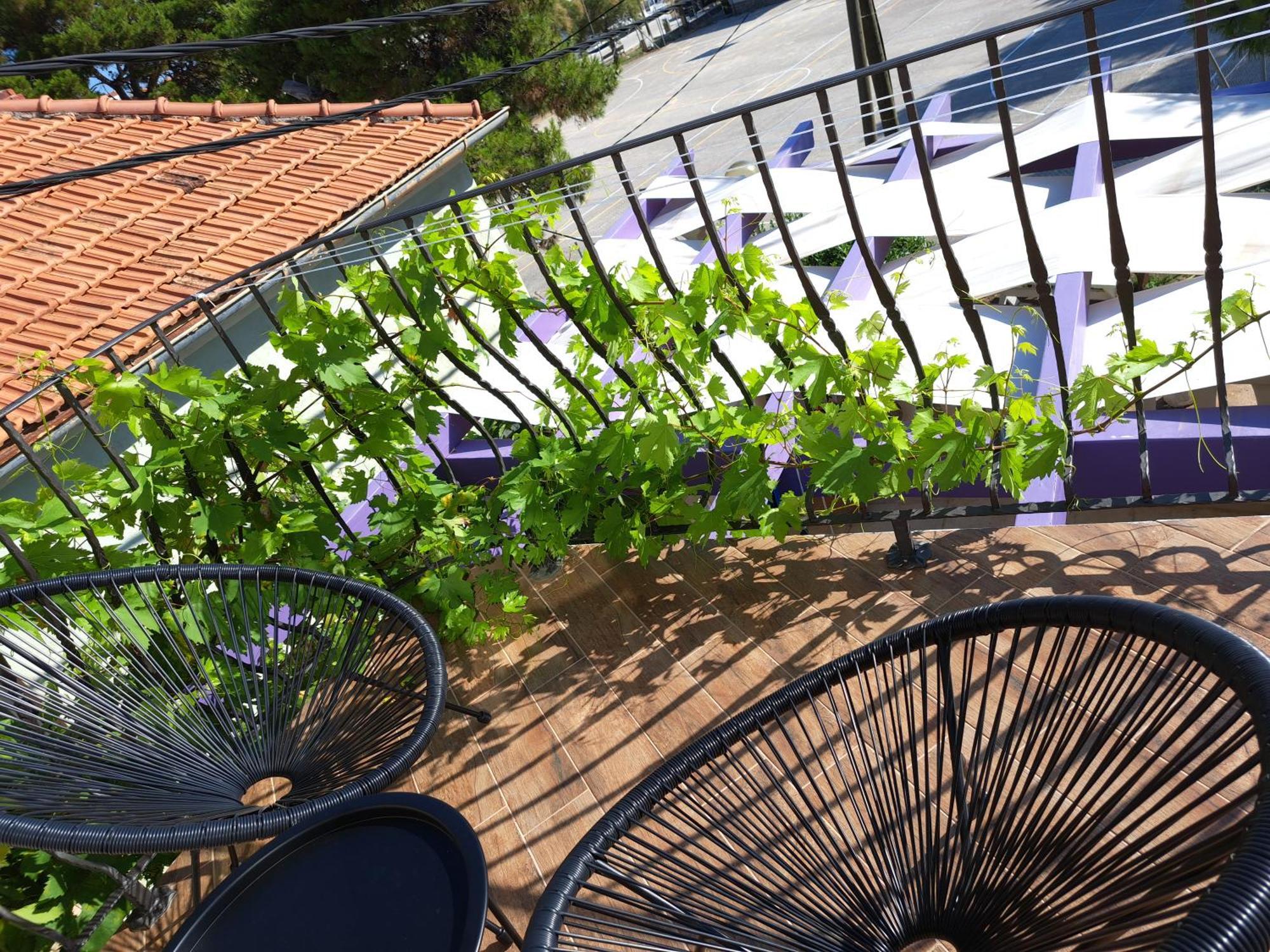Jardin Kapetanova Kuca Apartment Veli Iz Exterior photo